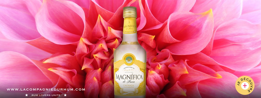 Magnifica de Faria - Cachaça - Tradicional IPE