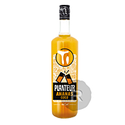 Les Rhums de Ced Ti Ced - Ti Planteur - Ananas - Coco - 1L - 12,9°