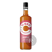 Les Rhums de Ced Ti Ced - Ti Planteur - Goyave - 1L - 12,9°