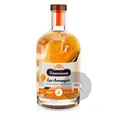 Le rhum arrangé Pongo Gingembre Piment Miel : un mélange original