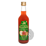 Bellevue - Punch - Planteur - 50cl - 18°