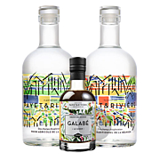 Payet & Rivière - Lot de 2 rhums blancs - Traditionnel et Agricole + 1 sirop Galabé 20cl offert - 140cl - 46,95°