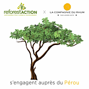 ReforestAction - 1 arbre pour le Pérou