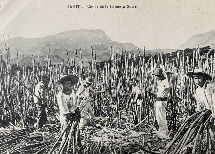 Tahiti – Coupe de la Canne à Sucre