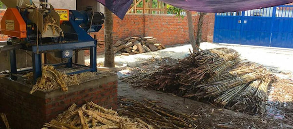 Presse de la cannes à sucre à la distillerie Sampan
