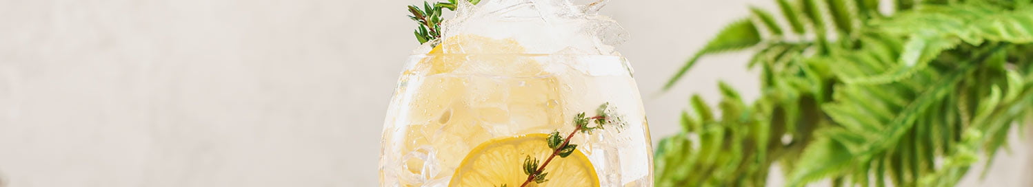 Header Cocktail Gin