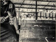 photo ouvrier travaillant un fut de rhum diplomatico