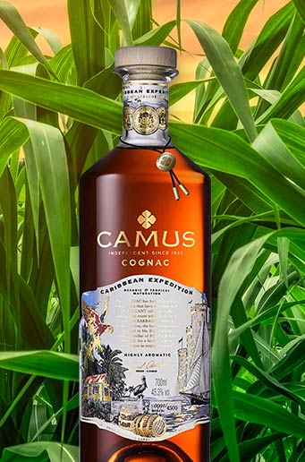 CAMUS