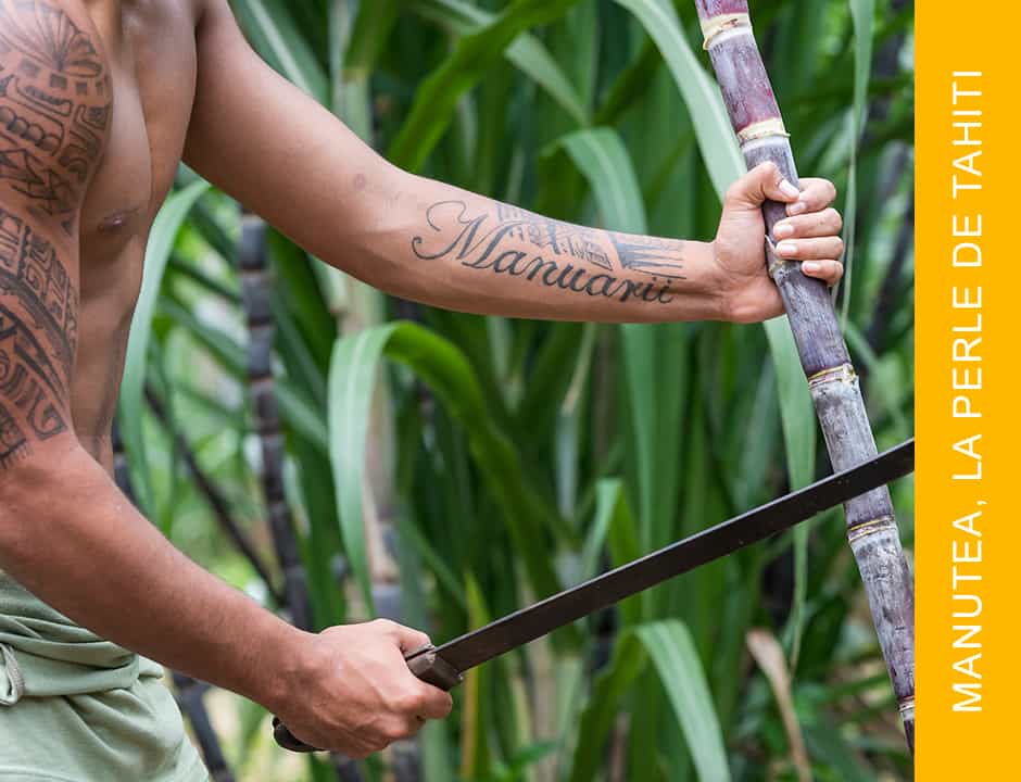 Etienne Houot, Rhum Manutea