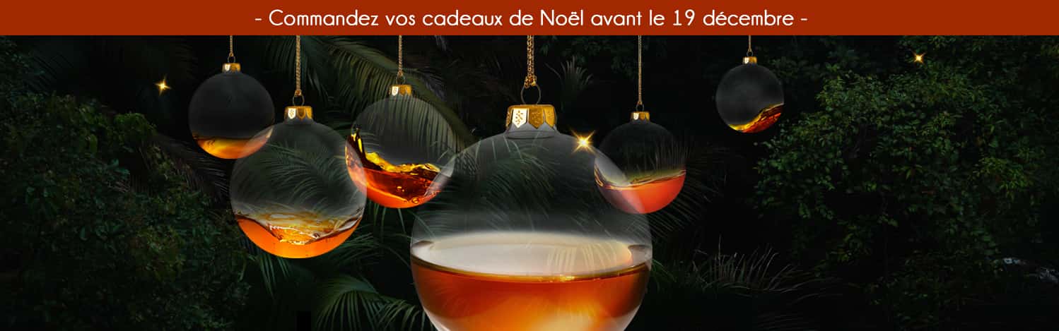 Header Boutique de Noël 2025